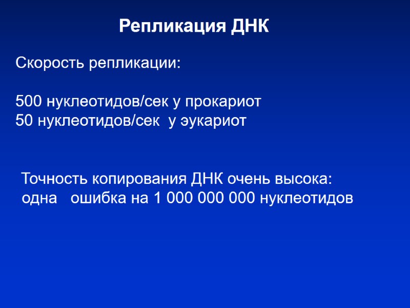 Репликация ДНК Скорость репликации: 500 нуклеотидов/сек у прокариот 50 Репликация ДНК Скорость репликации: 500 нуклеотидов/сек у прокариот 50